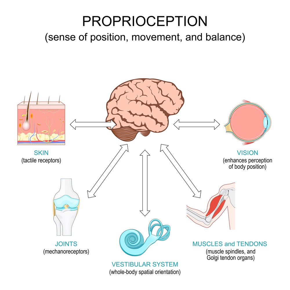 Proprioception Exercises Benefits for Better Balance